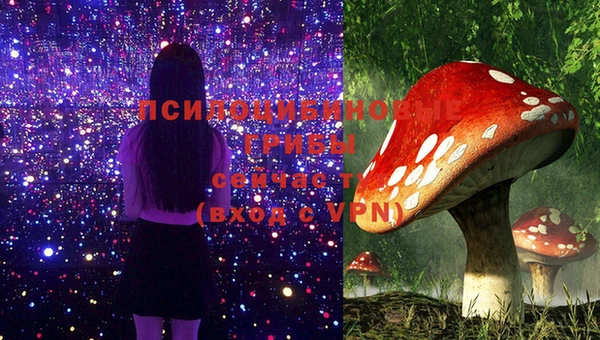 соль ск Белоозёрский